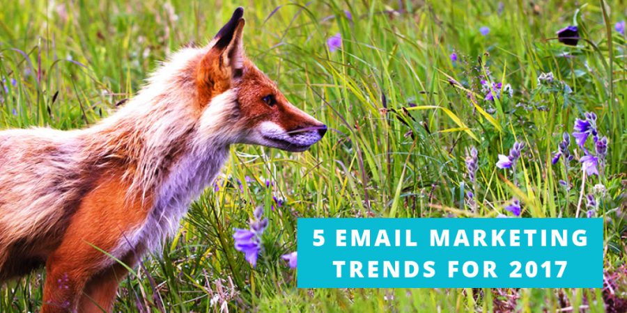5 Top Trends Email Marketers Need to Know for 2017