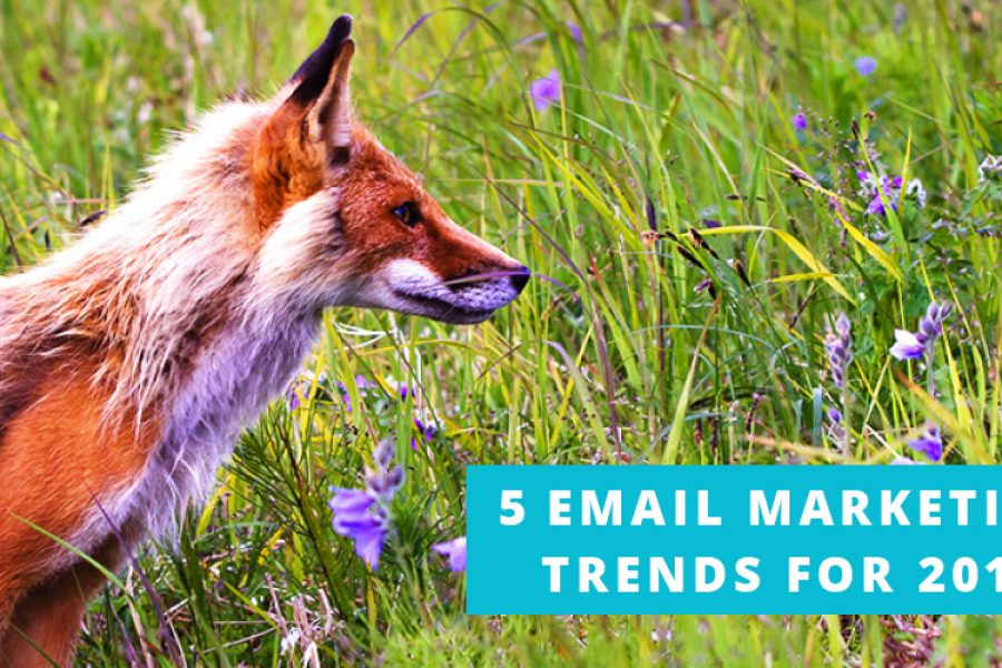 5 Top Trends Email Marketers Need to Know for 2017