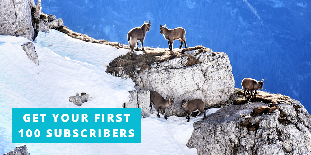 How to Get Your First 100 Subscribers