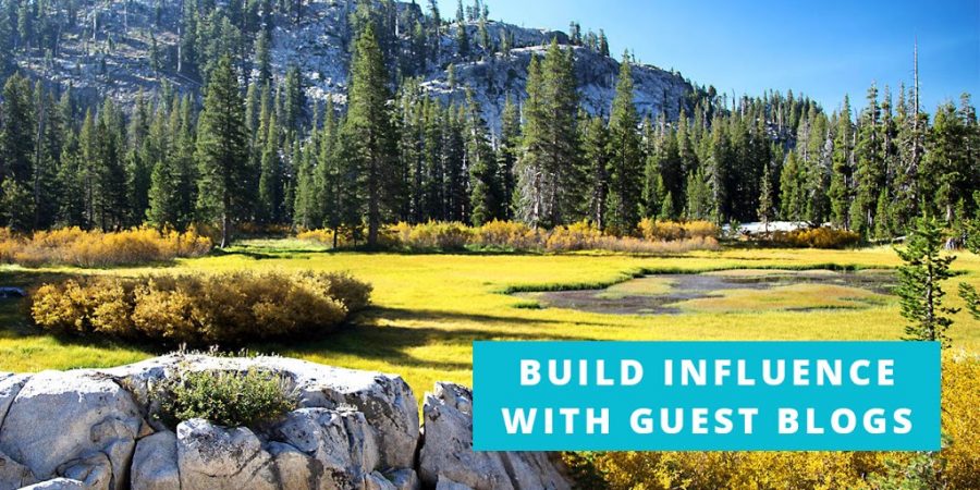 Build Your Online Influence with Guest Blogs