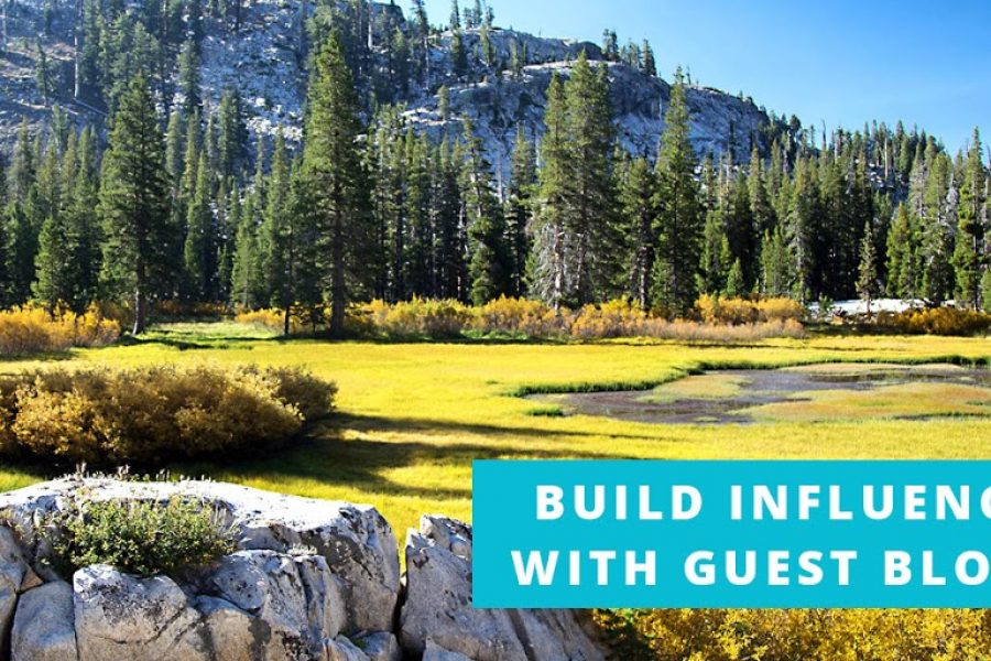 Build Your Online Influence with Guest Blogs